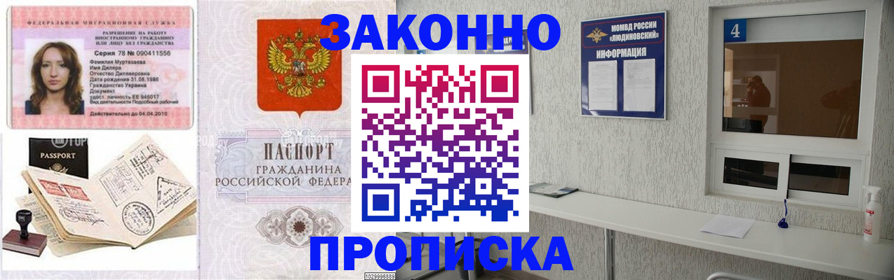прописка в квартире в Ермолино